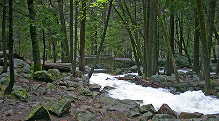 Bridalveil Falls