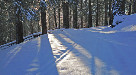 Winter in Yosemite