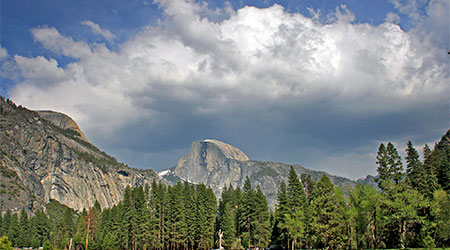 Spring in Yosemite