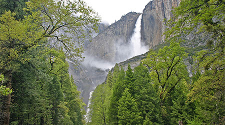 Spring in Yosemite