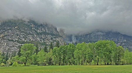 Spring in Yosemite