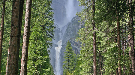 Spring in Yosemite