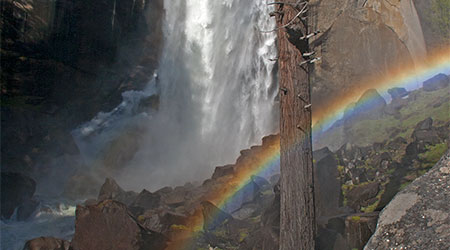 Spring in Yosemite