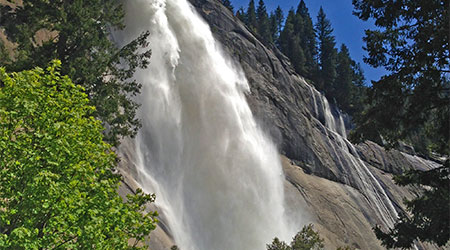 Spring in Yosemite