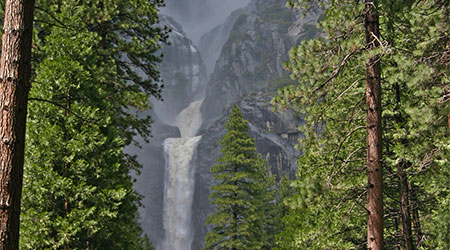 Spring in Yosemite