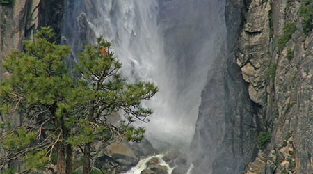 Spring in Yosemite