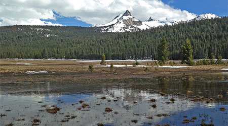 Spring in Yosemite