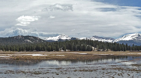 Spring in Yosemite