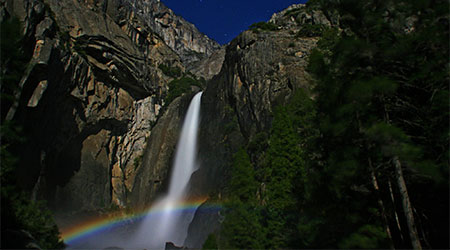 Spring in Yosemite