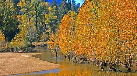 Fall Colors