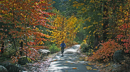 Fall Colors